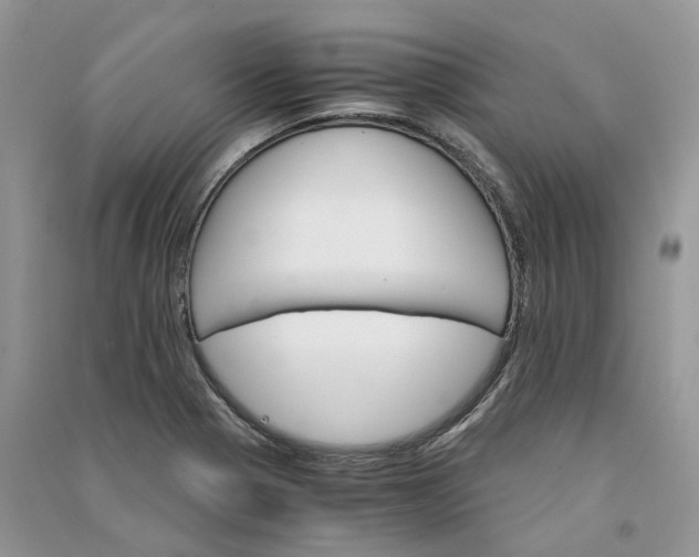 X0000090921321200708131424