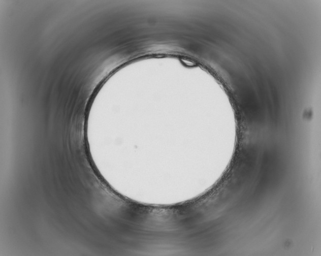 X0000090921322200708131425