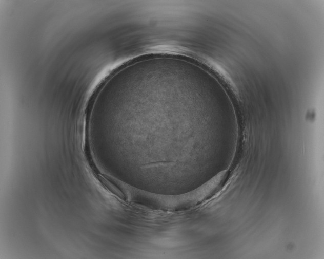 X0000090921323200708131425