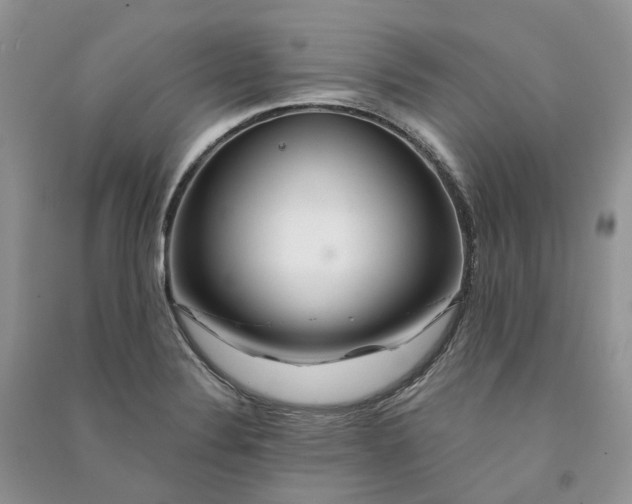 X0000090921324200708131425