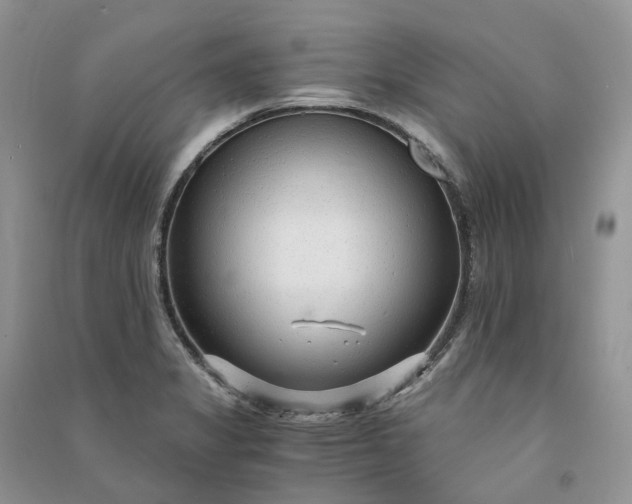 X0000090921325200708131425