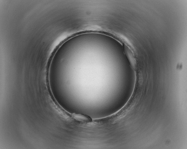 X0000090921326200708131425