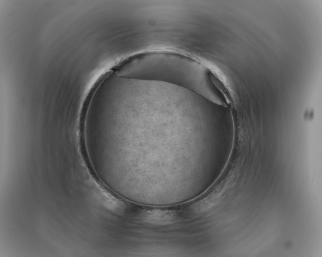 X0000090921327200708131425