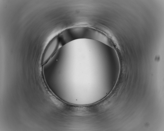 X0000090921328200708131425