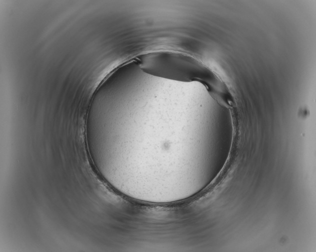 X0000090921329200708131425