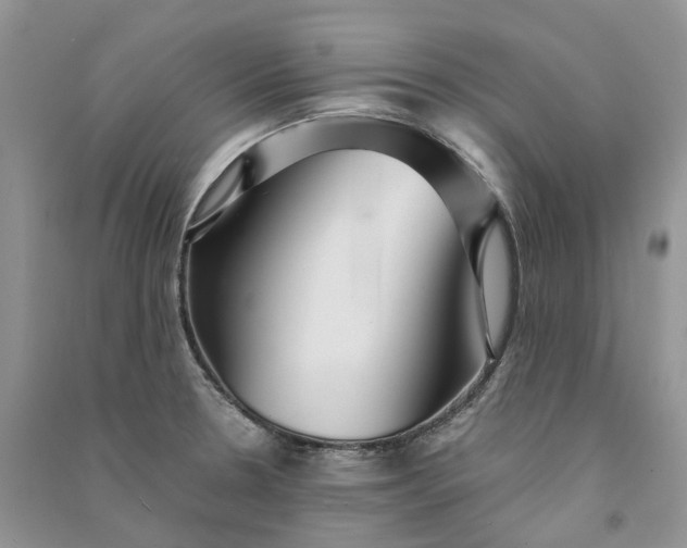 X0000090921330200708131425