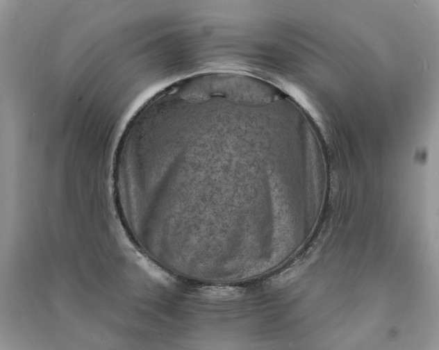 X0000090921331200708131425