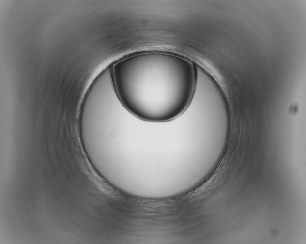 X0000090921332200708131425