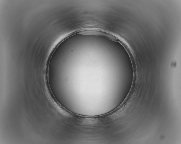 X0000090921333200708131425