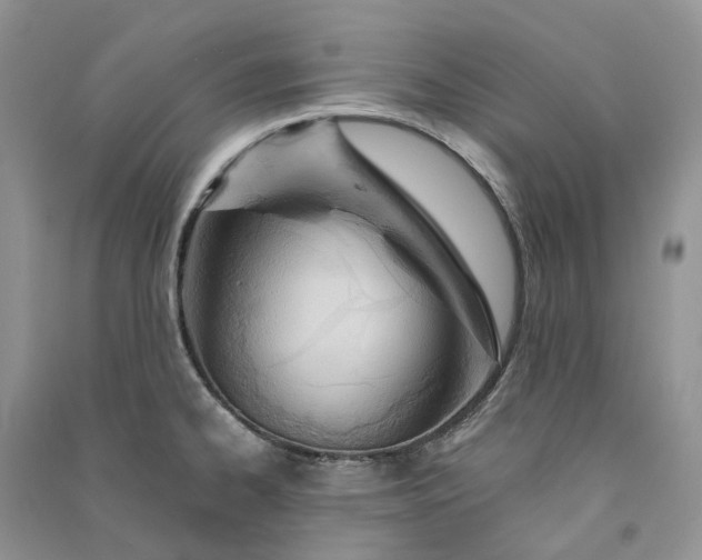 X0000090921334200708131425