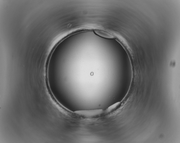 X0000090921335200708131425