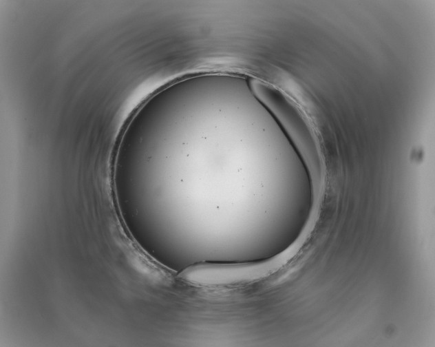 X0000090921336200708131425