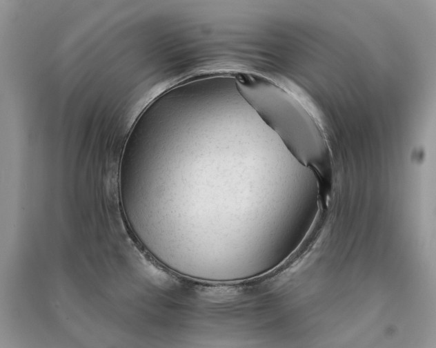 X0000090921337200708131425