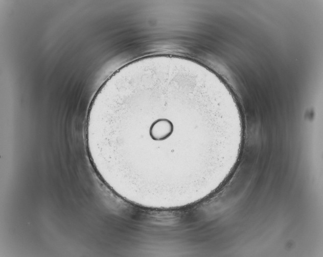 X0000090921338200708131425