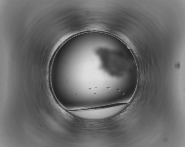 X0000090921339200708131425