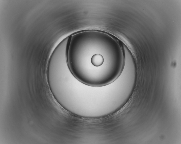 X0000090921340200708131425