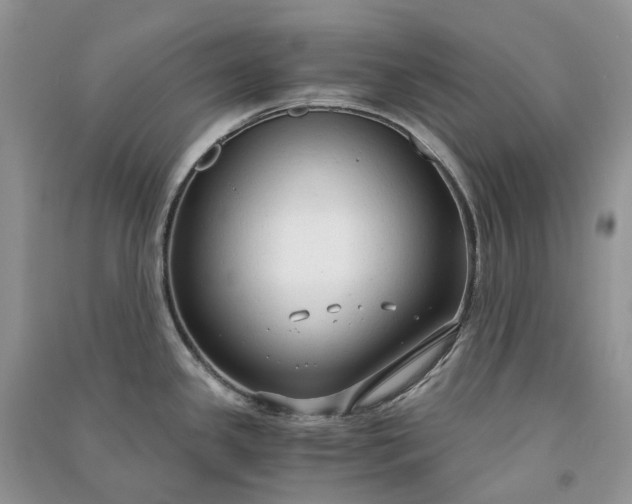 X0000090921341200708131425