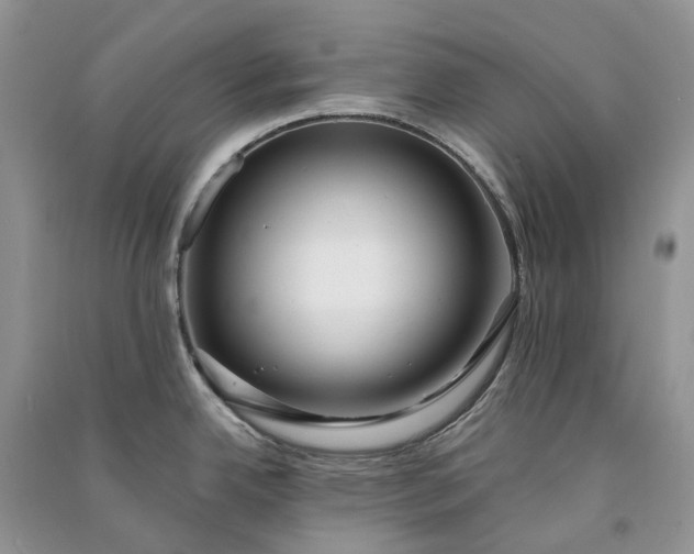 X0000090921342200708131425