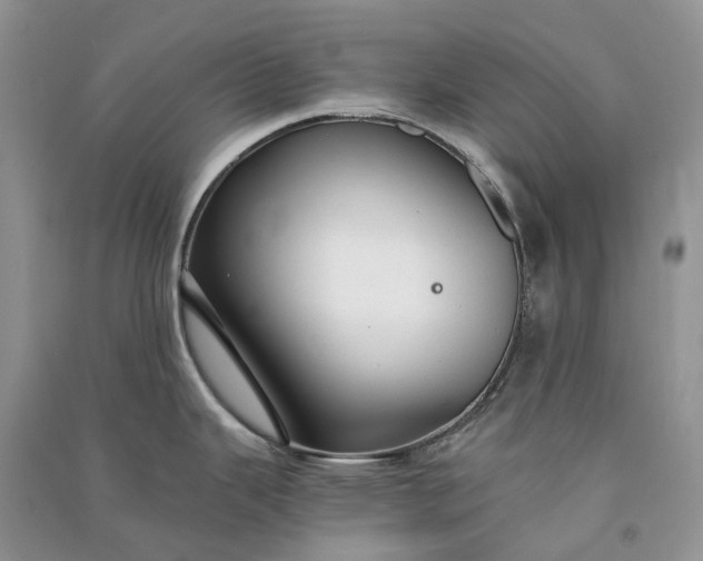 X0000090921343200708131425