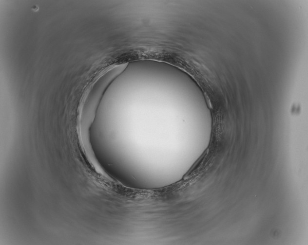 X0000090921345200708131424