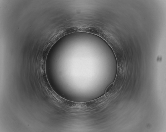 X0000090921346200708131424