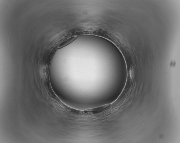 X0000090921347200708131424