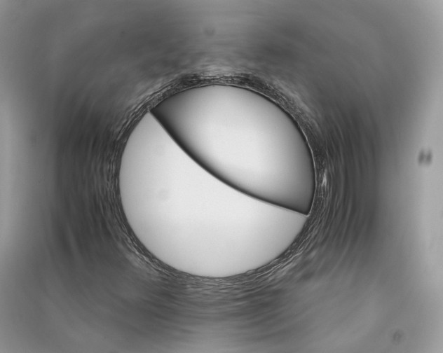 X0000090921348200708131424