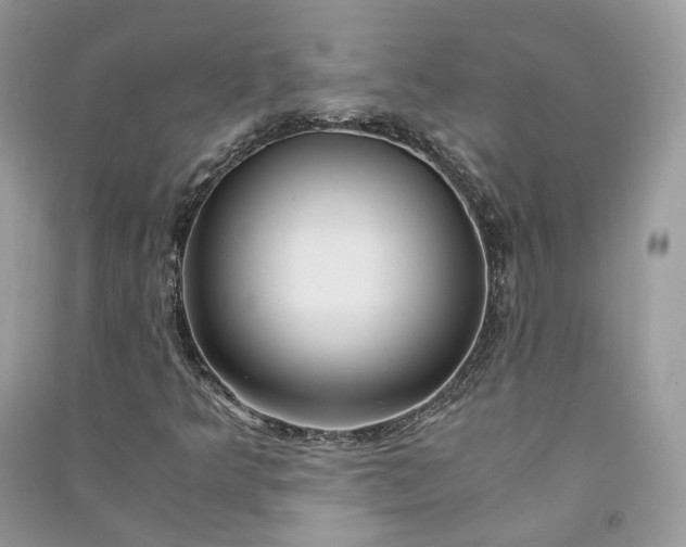 X0000090921349200708131424