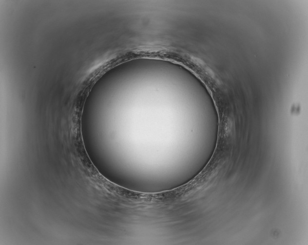 X0000090921350200708131424