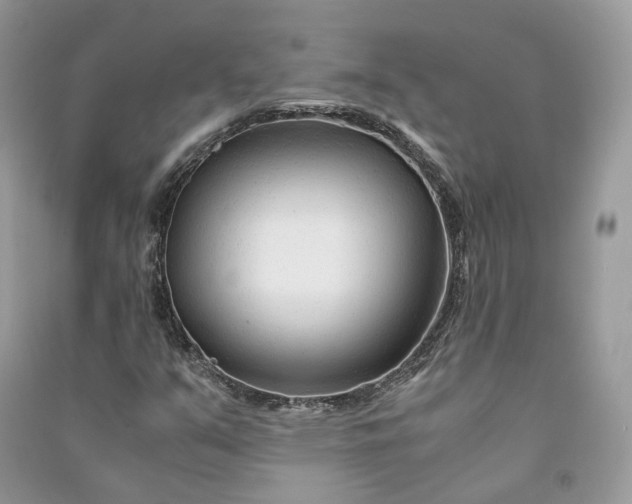 X0000090921351200708131424