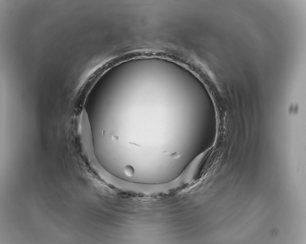 X0000090921352200708131424