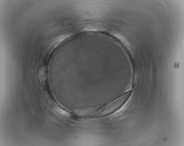 X0000090921353200708131424