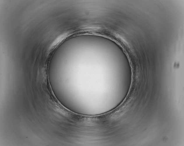 X0000090921354200708131424