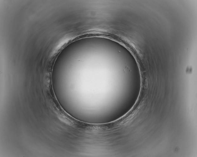 X0000090921355200708131424