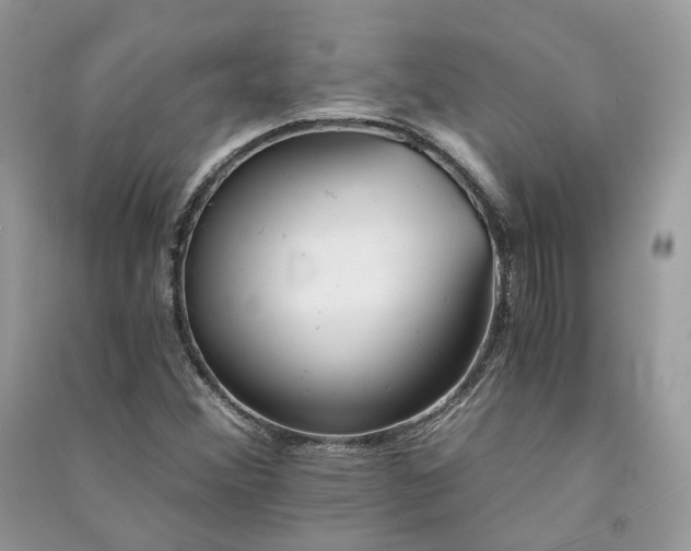 X0000090921356200708131424