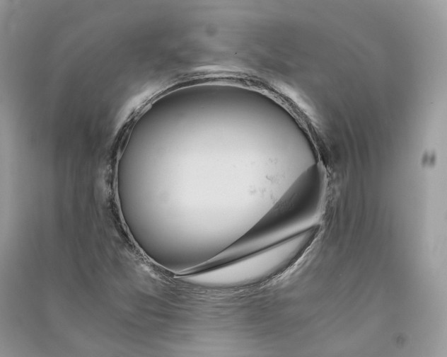 X0000090921357200708131424