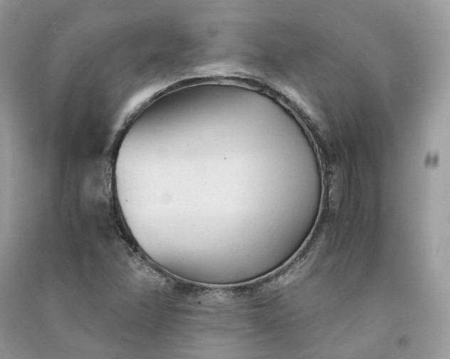 X0000090921358200708131424