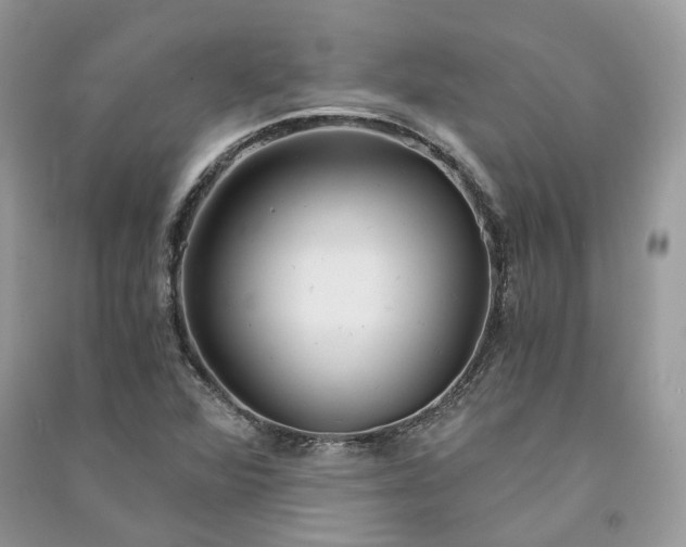 X0000090921360200708131424