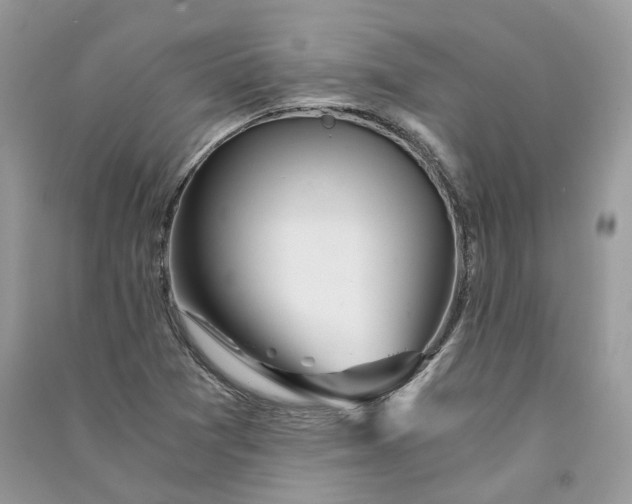 X0000090921361200708131424