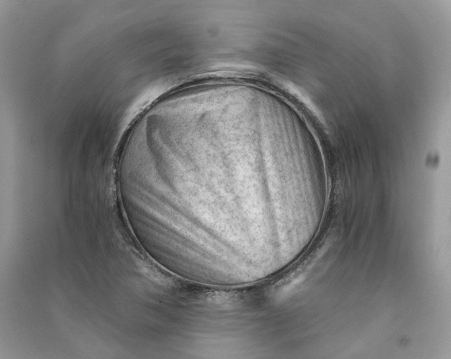 X0000090921362200708131424