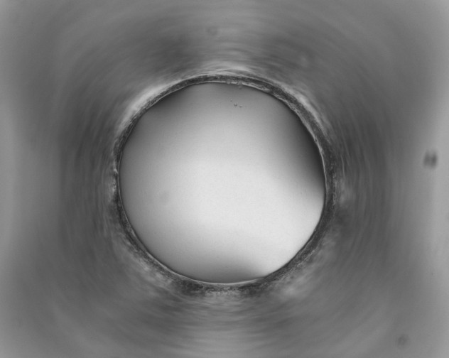 X0000090921363200708131424