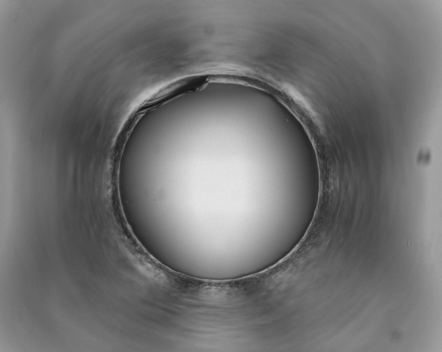 X0000090921364200708131424