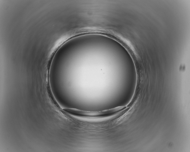 X0000090921365200708131424