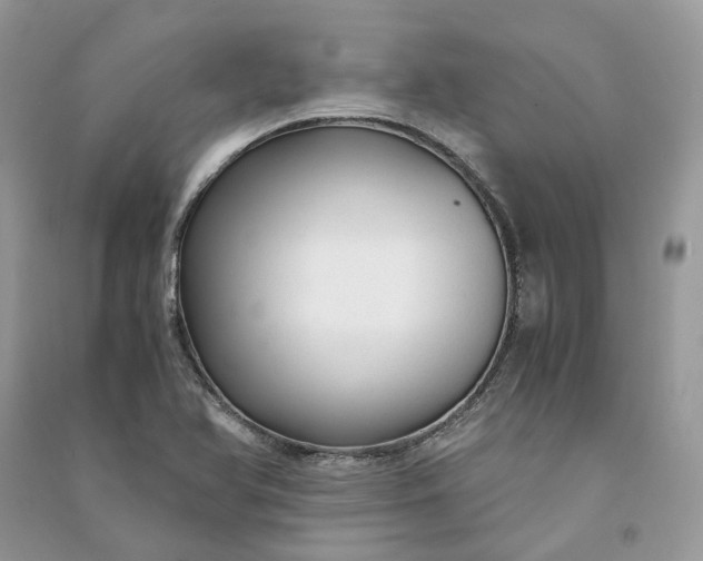 X0000090921366200708131424