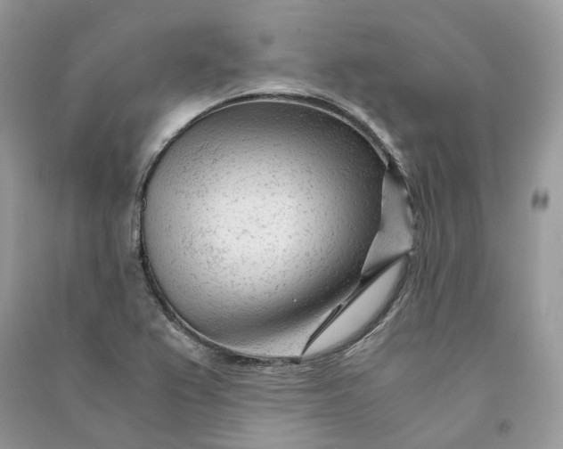 X0000090921367200708131424