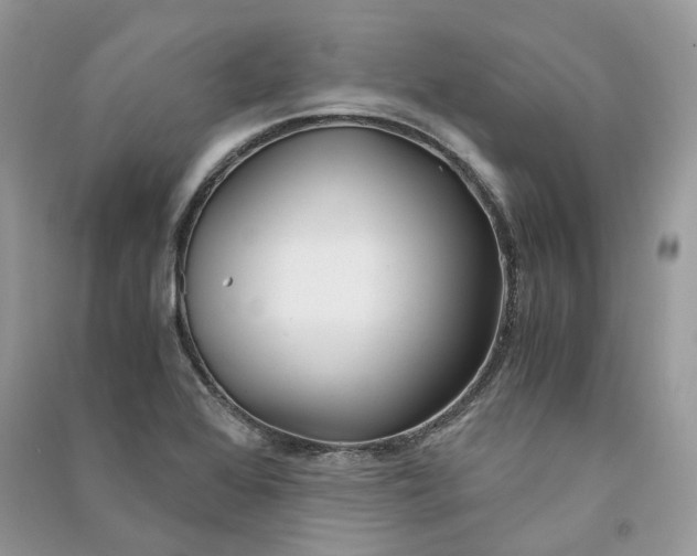 X0000090921368200708131424