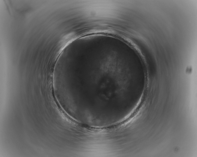 X0000090921369200708131424