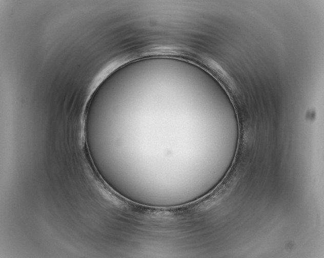 X0000090921370200708131424