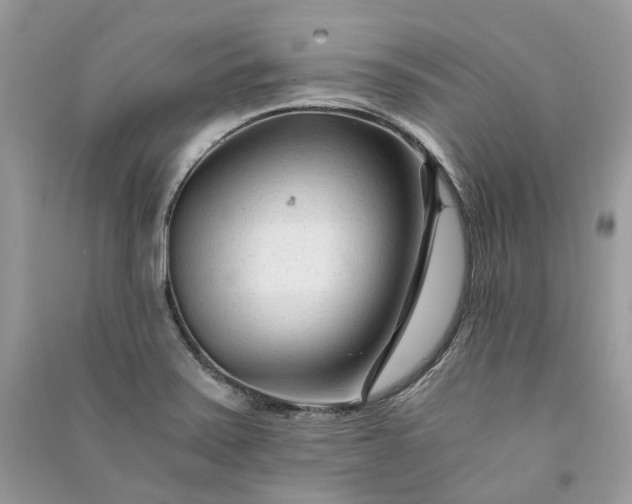 X0000090921371200708131424