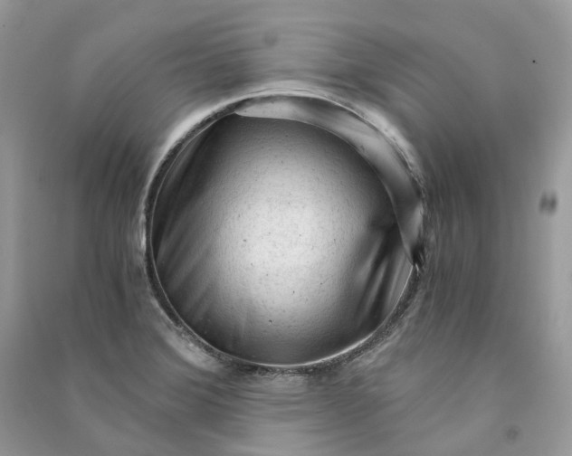 X0000090921372200708131424